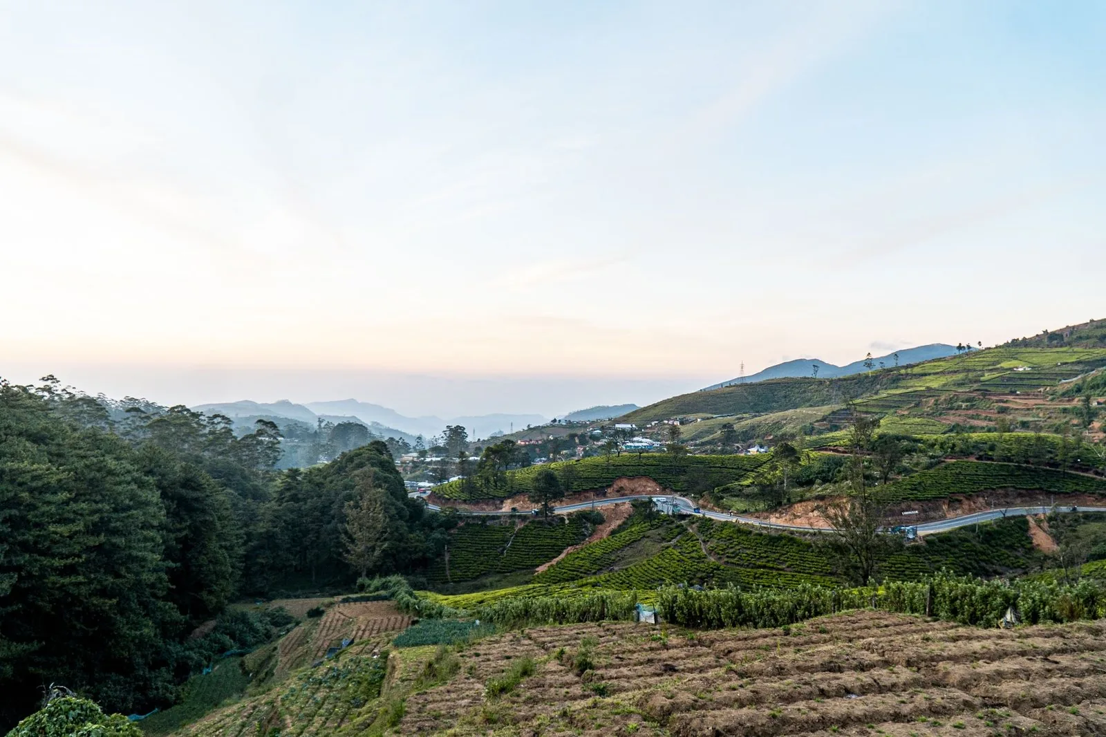 Tea-covered hills and scattered rooftops in the valley below Nuwara Eliya