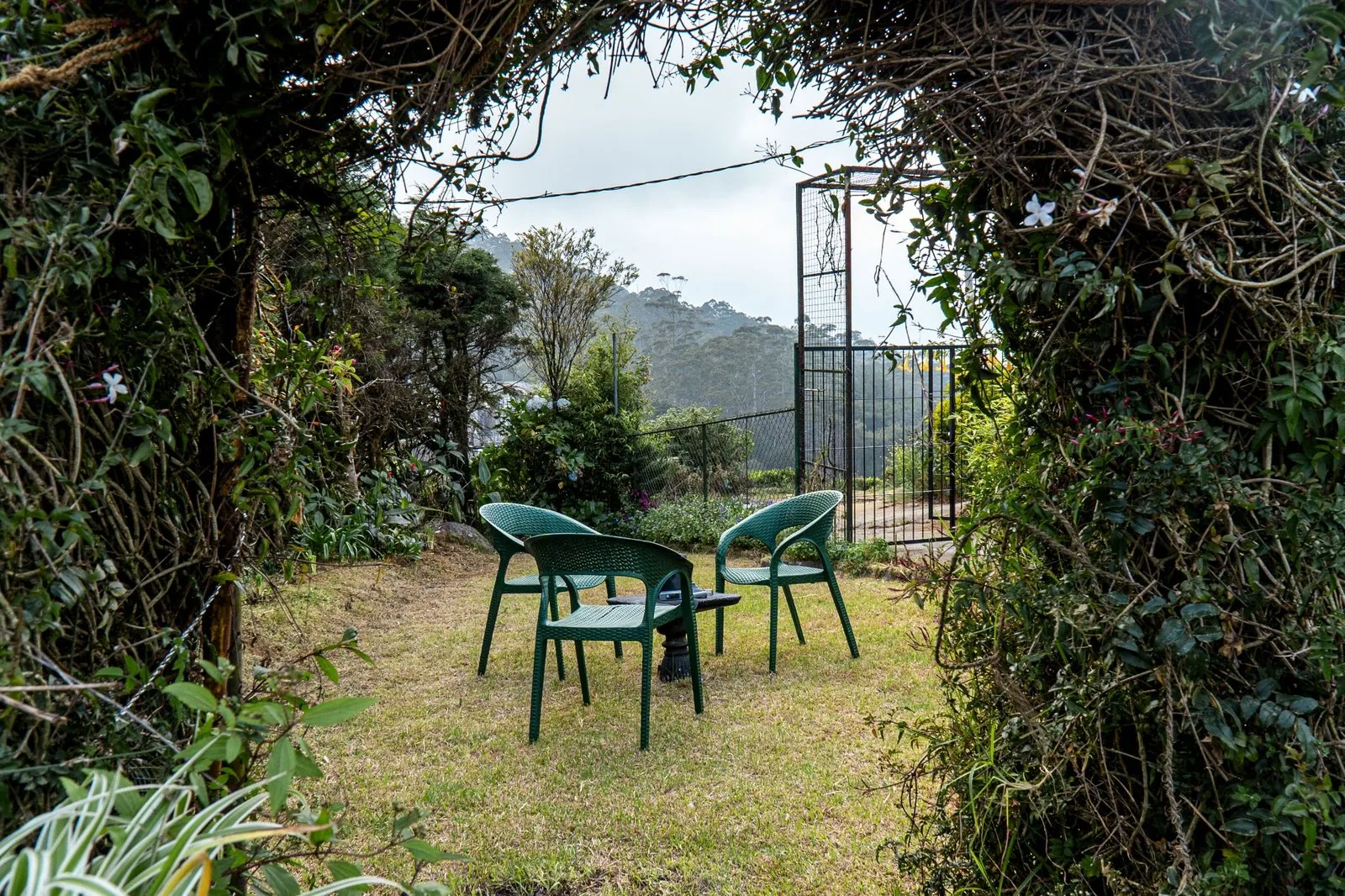 Two chairs in the villa garden, surrounded by greenery